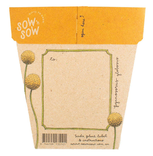 Billy Buttons Gift of Seeds (Australia Only)
