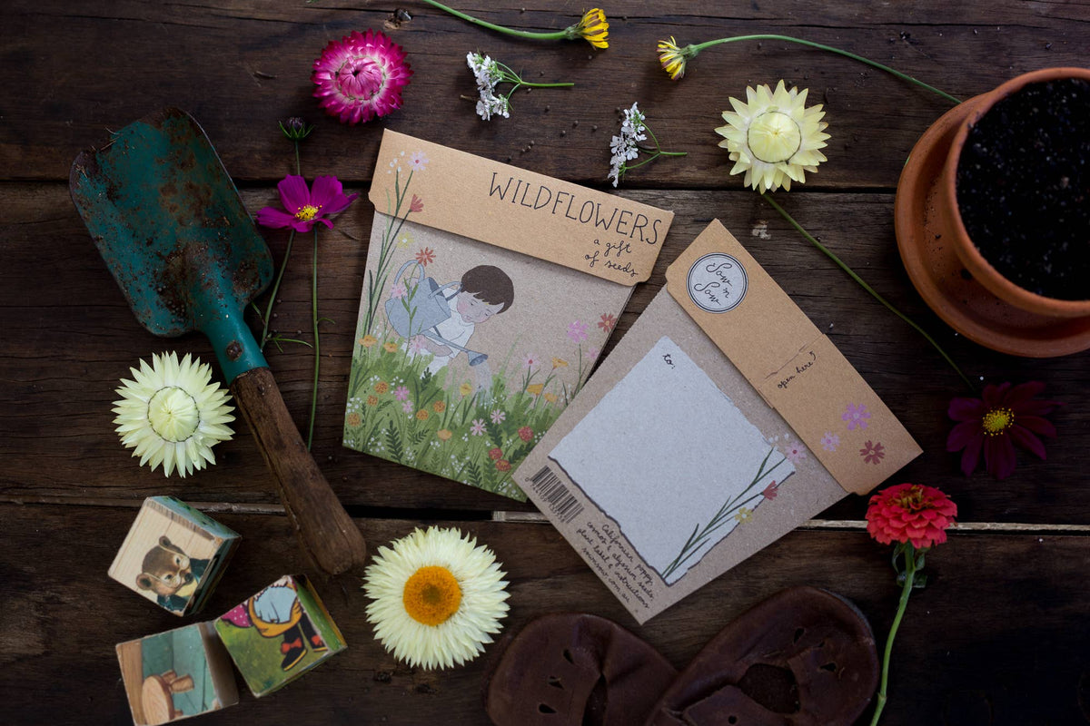 Wildflowers Gift of Seeds (Australia Only)